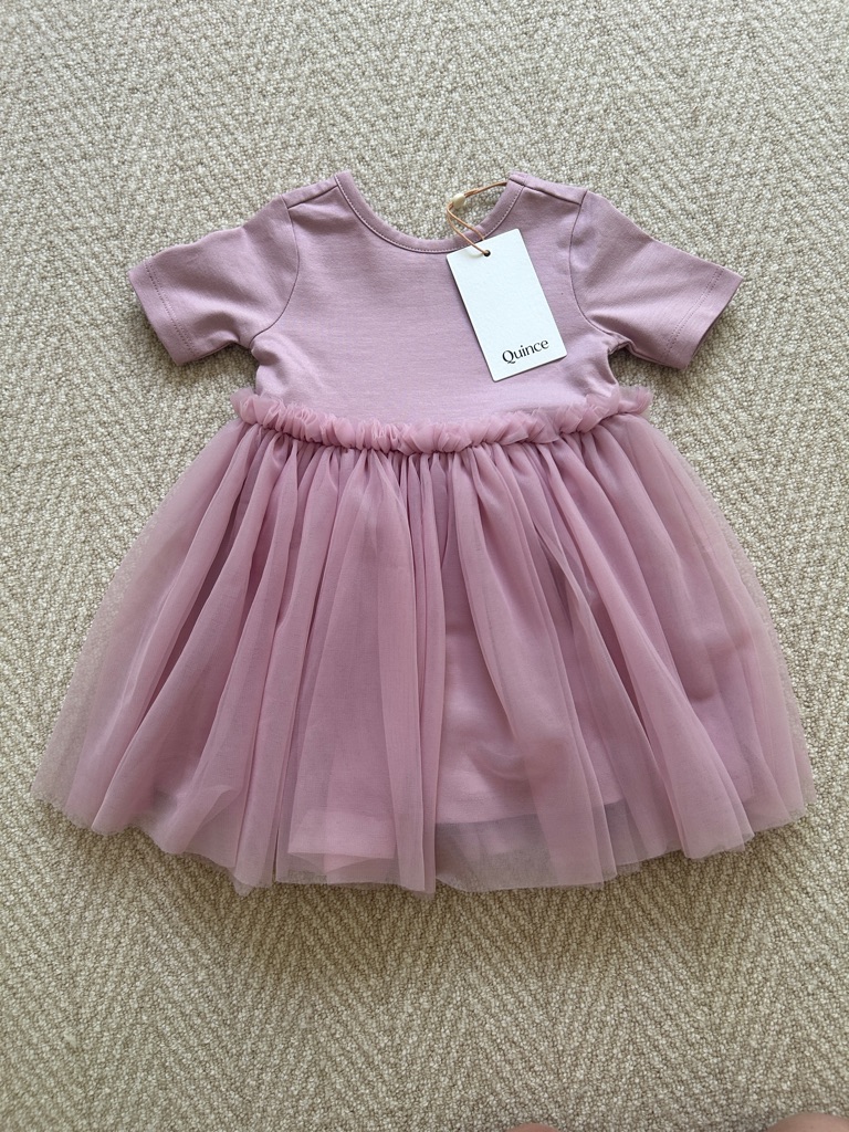 Quince Mauve Pink Tulle Dress